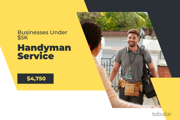 Business under 5k - Handyman Service.